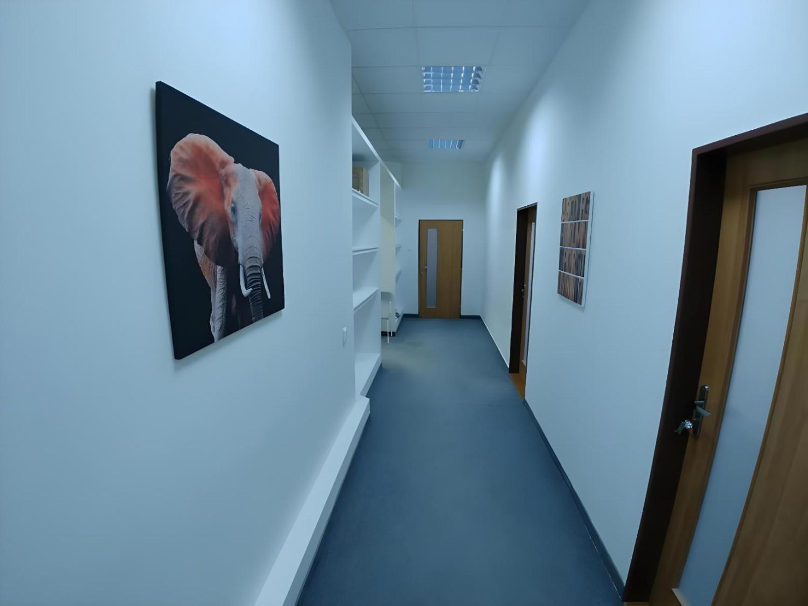Rooms Veveri - Uvoz, 10 Min Peski Do Centru برنو المظهر الخارجي الصورة