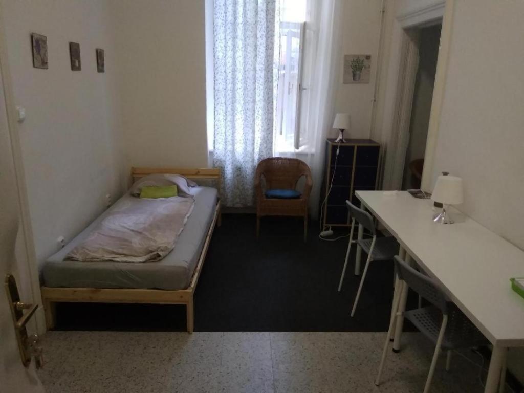 Rooms Veveri - Uvoz, 10 Min Peski Do Centru برنو المظهر الخارجي الصورة